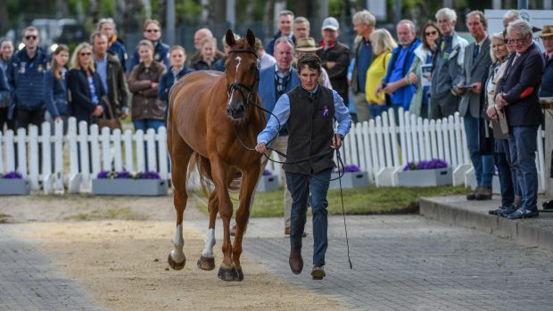 The Luhmühlen Horse Trials dressage times have been released, with Brit Tom McEwen and CHF Cooliser, pictured, first to go in the CCI5* dressage