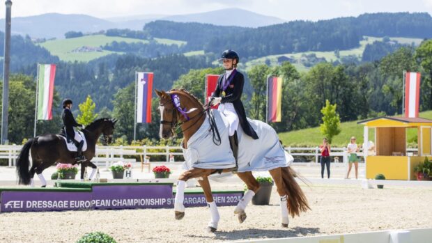 Annabella pidgley European gold