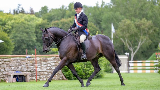 2024 Enablelink RIHS show hunter pony championship