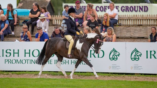 Penrock Perfect Puzzle