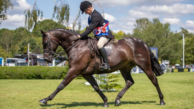 2024 RIHS supreme ridden pony