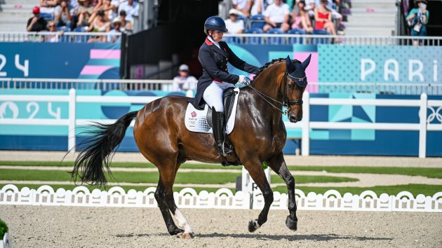 Olympic dressage grand prix qualifier – all of the motion from day one