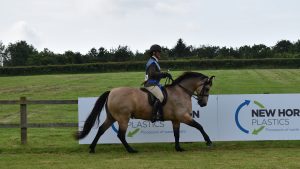 Thunderbolt Fairy Robin Bambi wins the 2024 amateur riders M&M championship