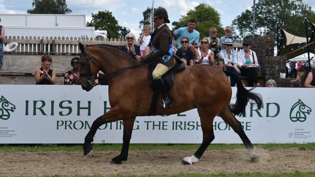 2024 RIHS BSHA maxi cob championship.