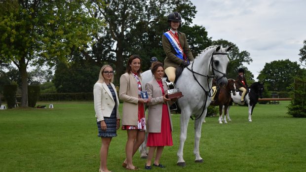 2024 RIHS LG Show Team BSPS supreme working hunter pony championship