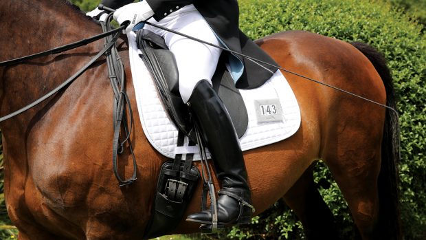 A close up of a dressage rider sitting in the saddle wearing long black boots with spurs, white breeches, a tailcost, white gloves and holding a long dressage whip, ready to compete