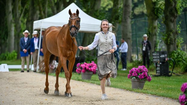 Olympic eventing first trot-up: Lea Siegl and DSP Fighting Line
