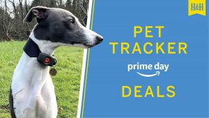 Amazon Prime Day pet tracker deals graphic