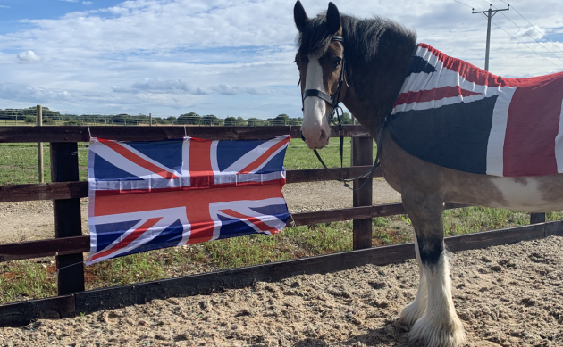 Hovis’ Friday diary: ‘Drum roll please – right here’s my giant, BIG information’