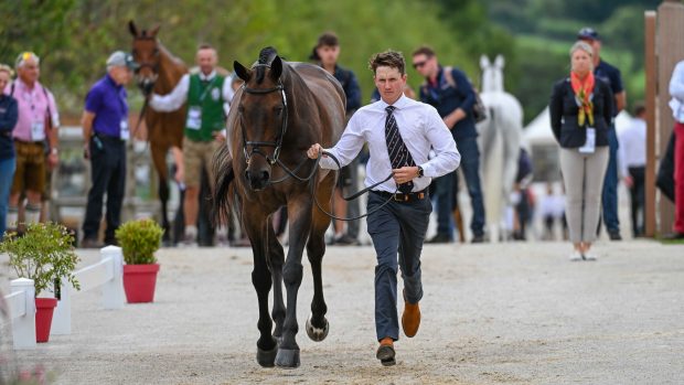 Tom McEwen: baby due in the autumn for Olypmic event rider