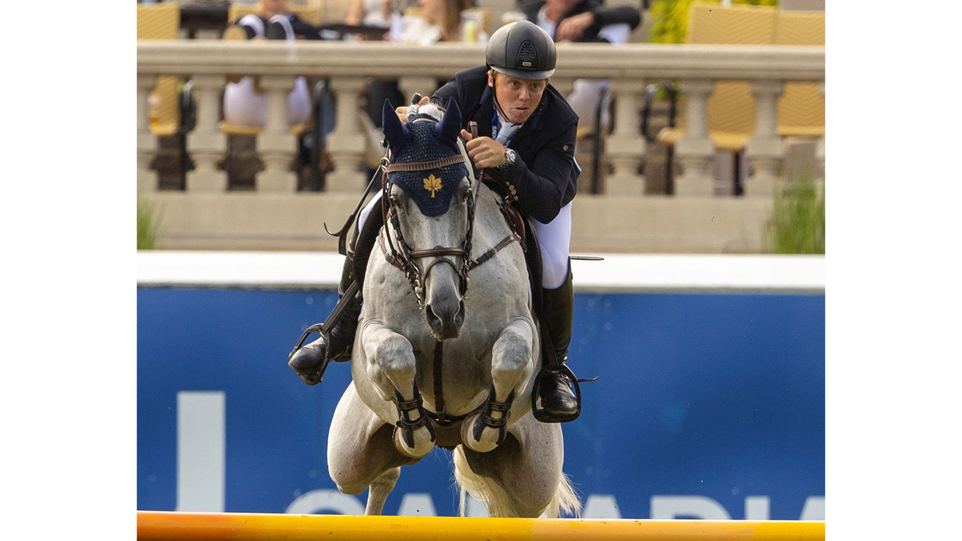 Global showjumping information: giant for Matt Sampson