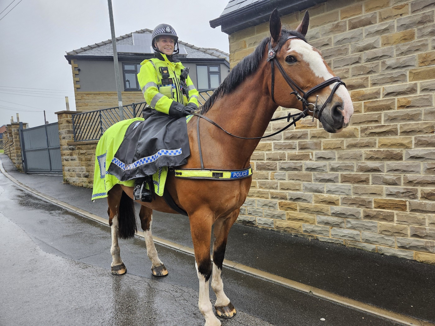 ‘He loves his activity’: police horse hit by means of automobile again at the beat – as drivers warned about secure passing