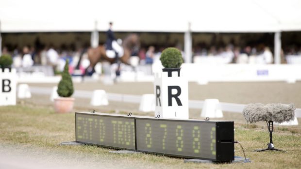 dressage judge eye-tracking study