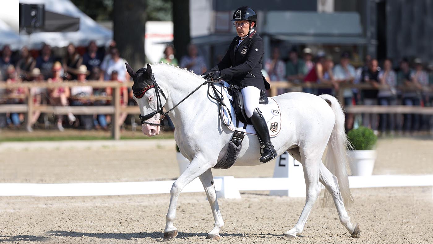 ‘What you possess to your middle can’t be misplaced by way of dying’: farewell to most sensible mare weeks sooner than championship