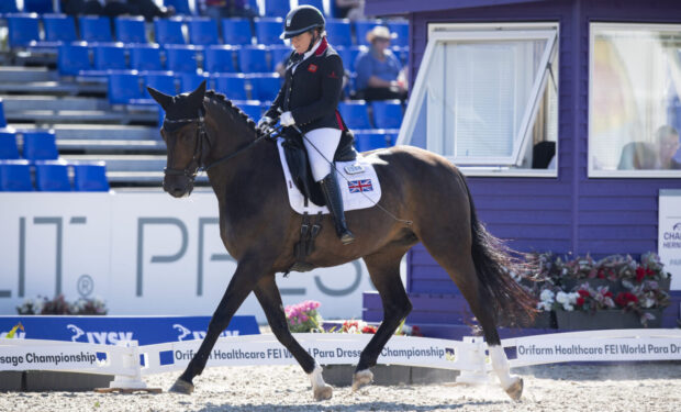 Keystone Dawn Chorus Natasha Baker