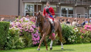 Showing editor: report at shows such as Royal International