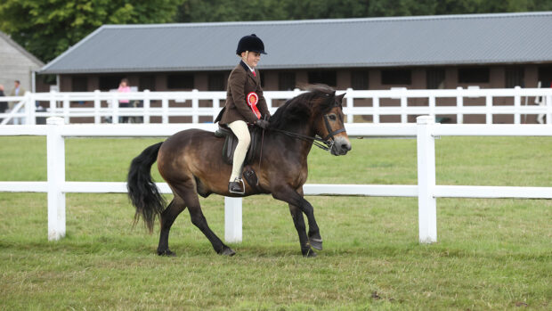 Toby Johnstone and Cheritonridge Grenache