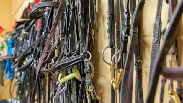 tack room clear out