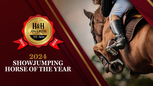 Showjumping horse of the year award 2024