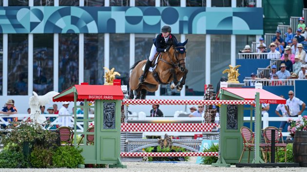Olympic person showjumping – 5 issues to not omit on qualifier day