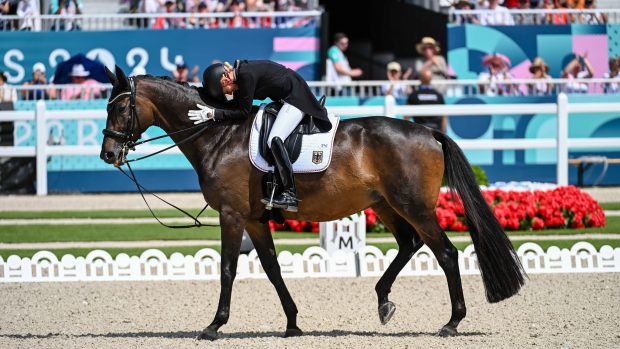 TSF Dalera BB will retire soon