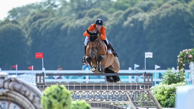 Maikel van der Vleuten won the individual bronze medal in the Olympic showjumping final.