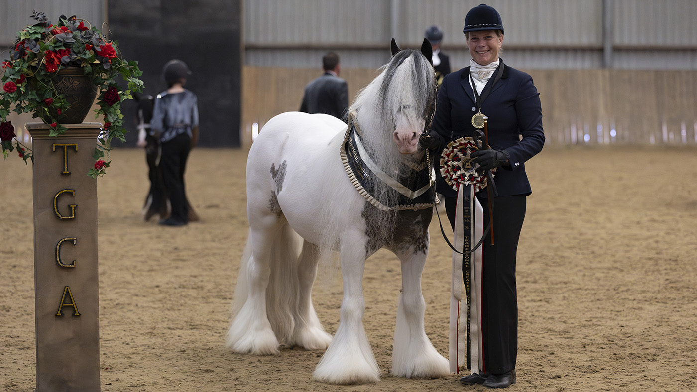 Stoney Meadow Aurora, 2024 TOYS ultimate