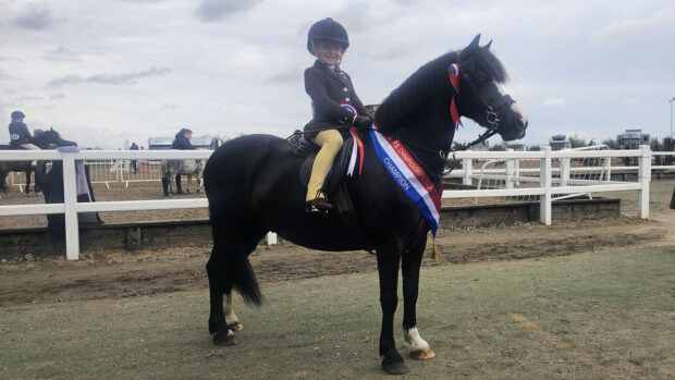 Hayesbrook Double Trouble