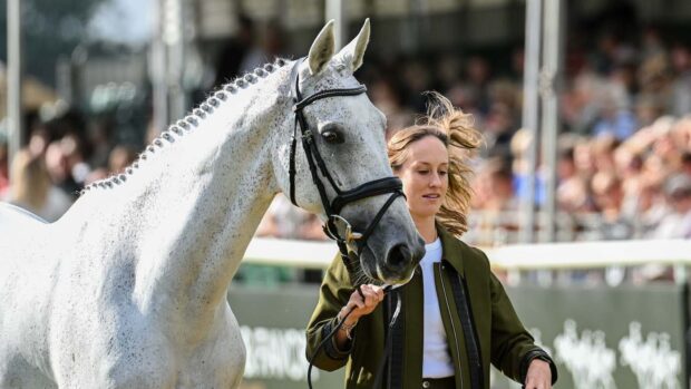 Bella Innes Ker and Highway at the Defender Burghley Horse Trials first trot-up.