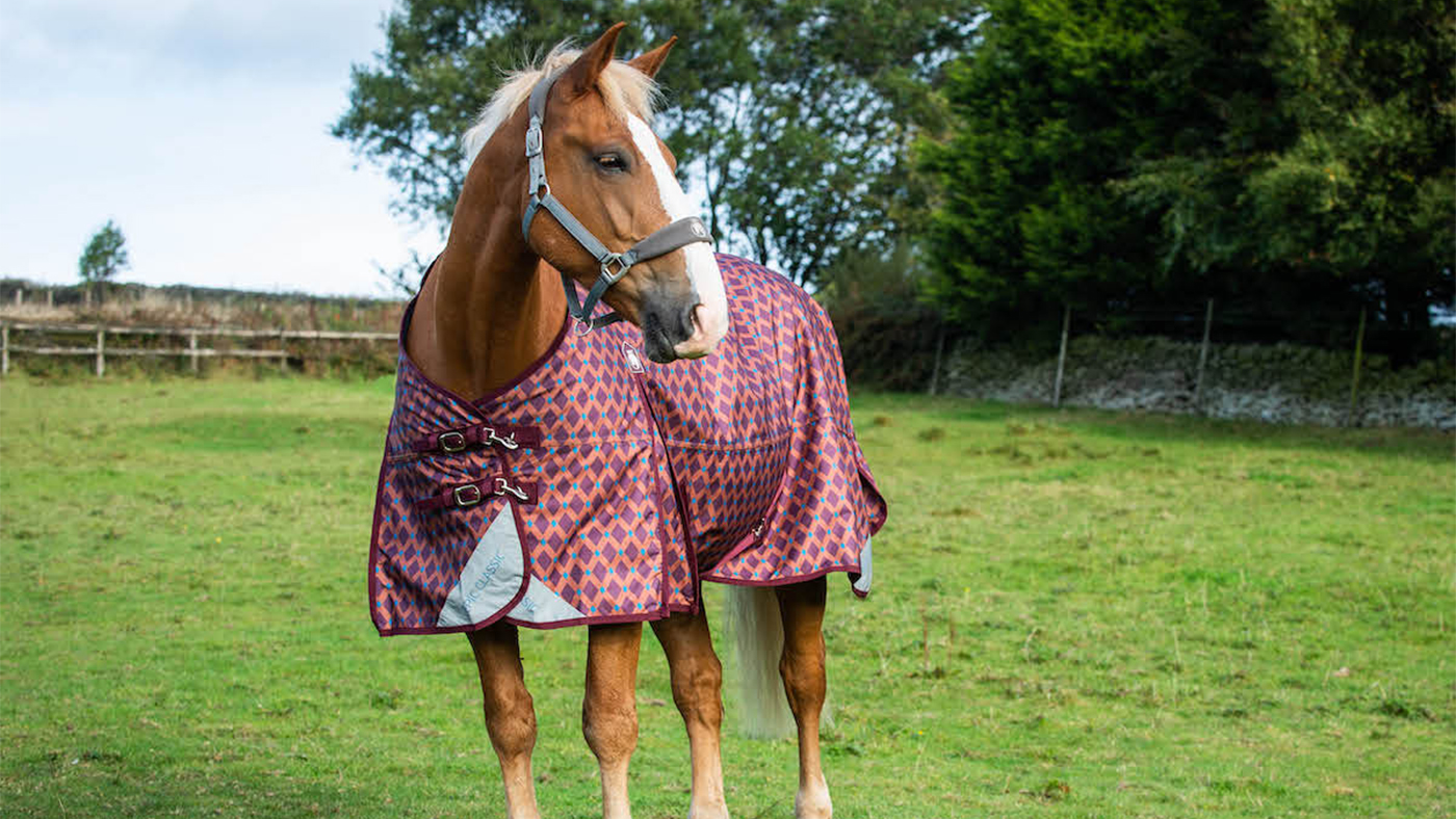 Epic classic 50g turnout rug