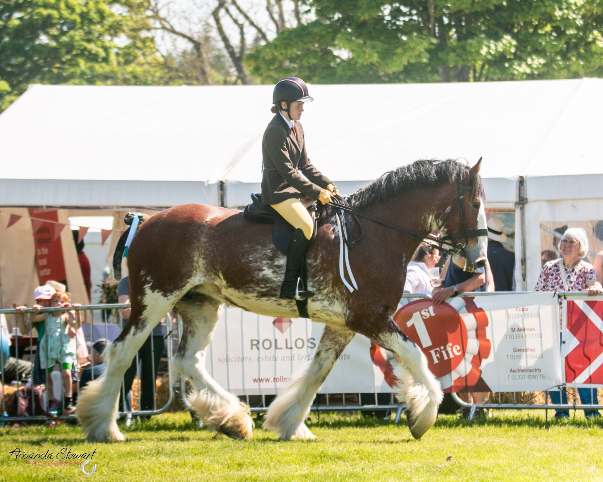 Hayesbrook Double Trouble is a 2024 HOYS finalist with his tiny rider