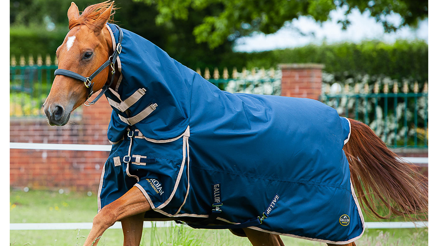 Gallop Trogan 100g Combo turnout rug 