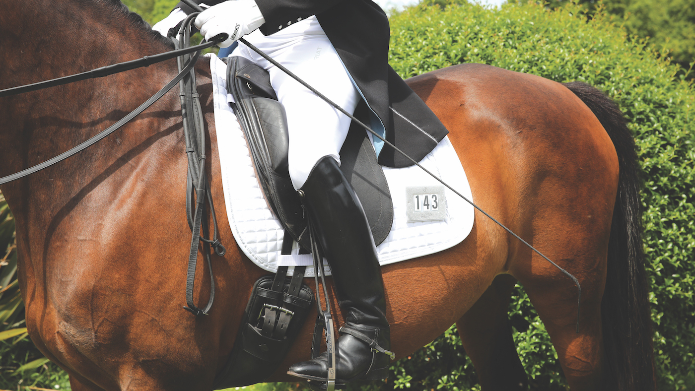 Equestrian game at ‘vital juncture’ as dressage meets to deal with the game’s long run