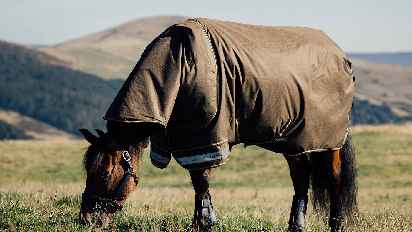 Lemieux Arika turnout rug