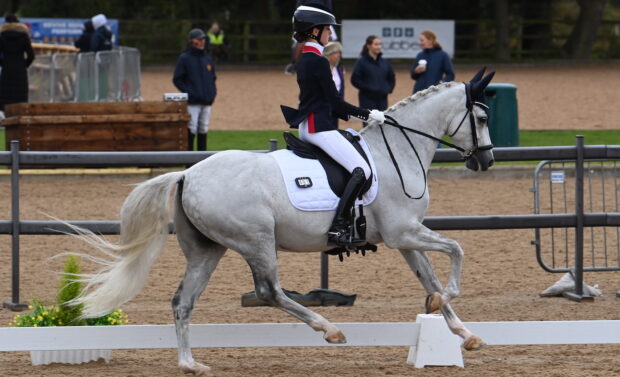 Abi Gray riding George Clooney BS in the pony final at the National Dressage Championships 2024.