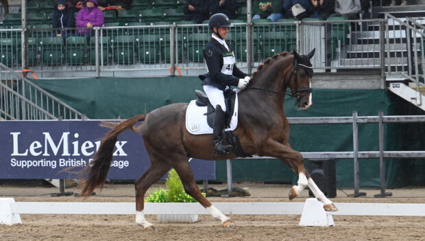 Ashley Jenkins and Game On I in the five-year-olds at the National Dressage Championships 2024.