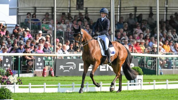 Sophia Hill riding HUMBLE GLORY for NZL during the dressage phase at Burghley