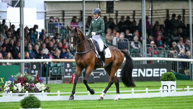 Susie Berry at Burghley Horse Trials 2024, on Irene Leva