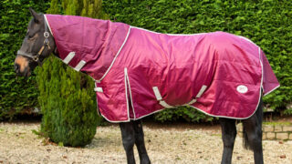 Best stable rugs for keeping your horse warm this winter | Horse & Hound