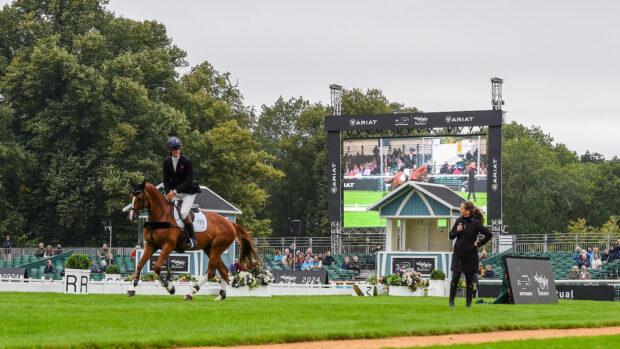 William Fox-Pitt rides Chilli Morning IV, one of the event horse clones from his top five-star horses
