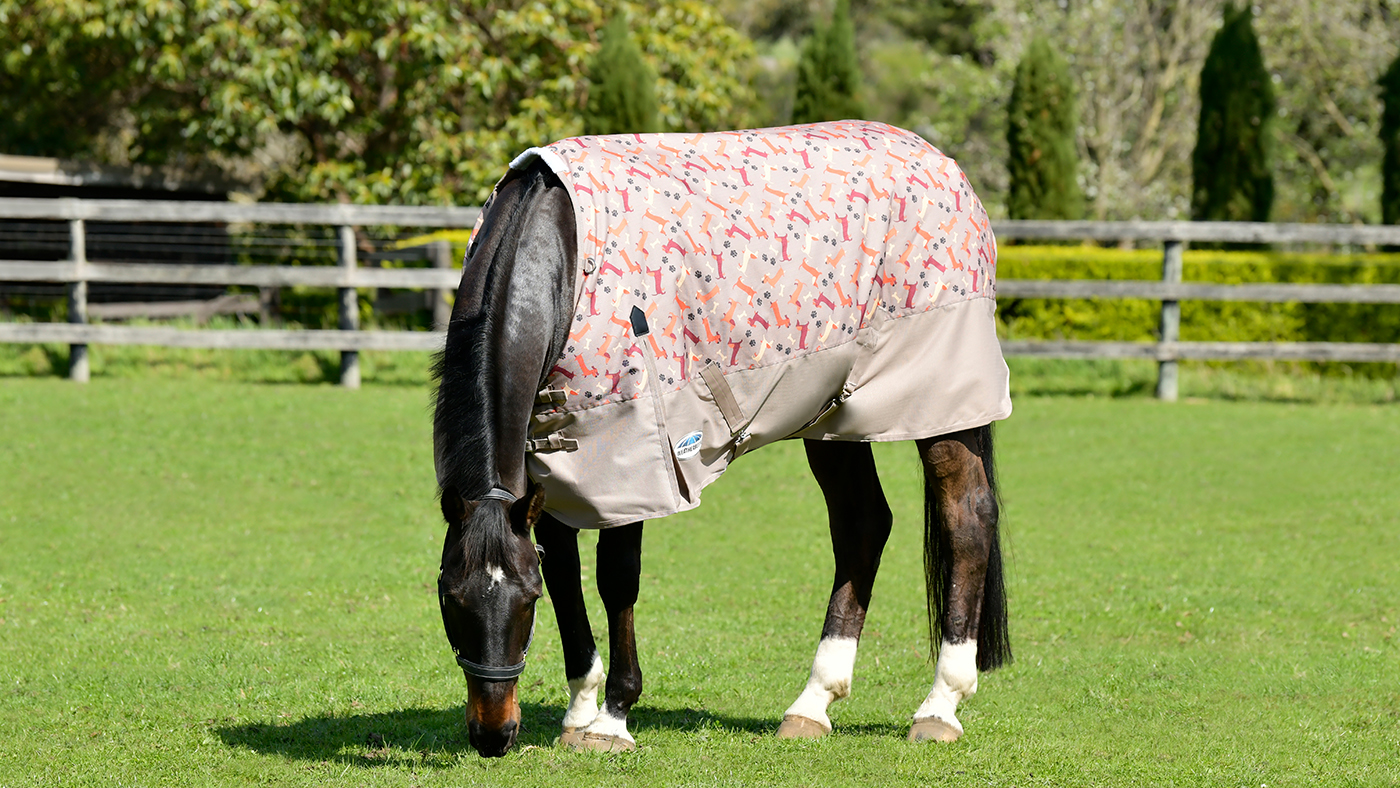 Weatherbeeta Essential Lite Plus turnout rug