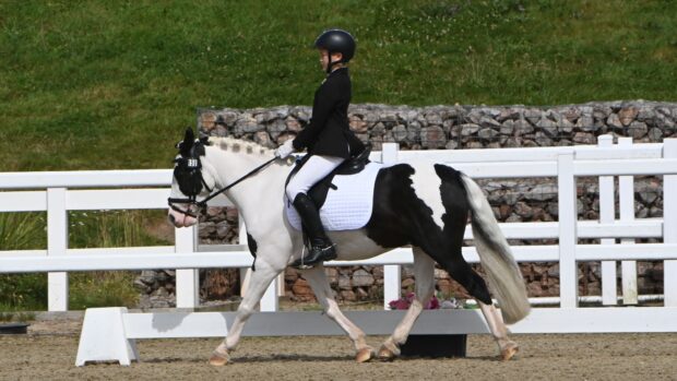 Theo Charnley and RSPCA George competing at the National Dressage Championships.