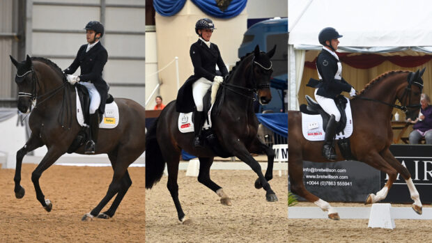 national dressage championships 2024
