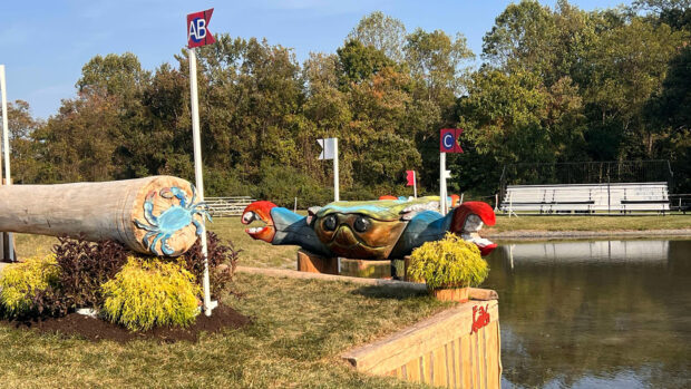 Maryland 5 Star cross-country times: a fence on the 2024 course