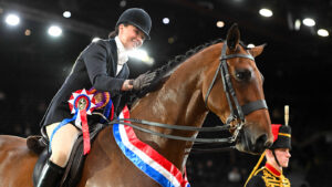 HOYS 2024 SMALL SHOW HUNTER OF THE YEAR