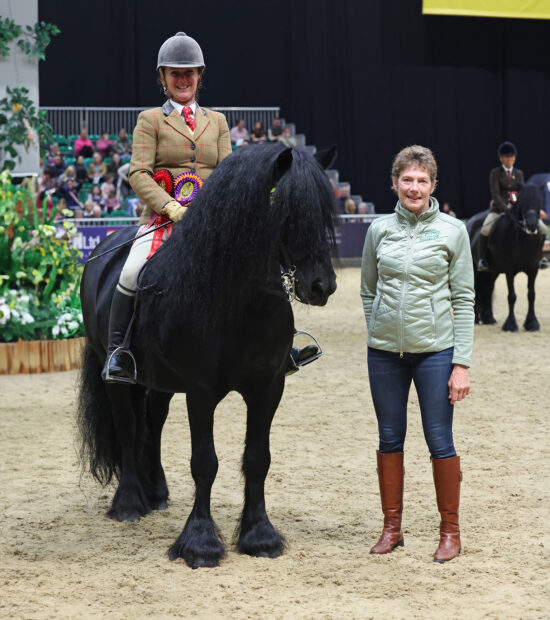2024 HOYS Fell pony of the year