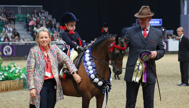 HOYS 2024 mini show pony of the year champion
