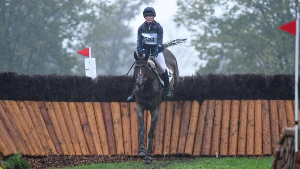 Caroline Harris and D.Day have soared into the lead after cross-country at Pau Horse Trials.