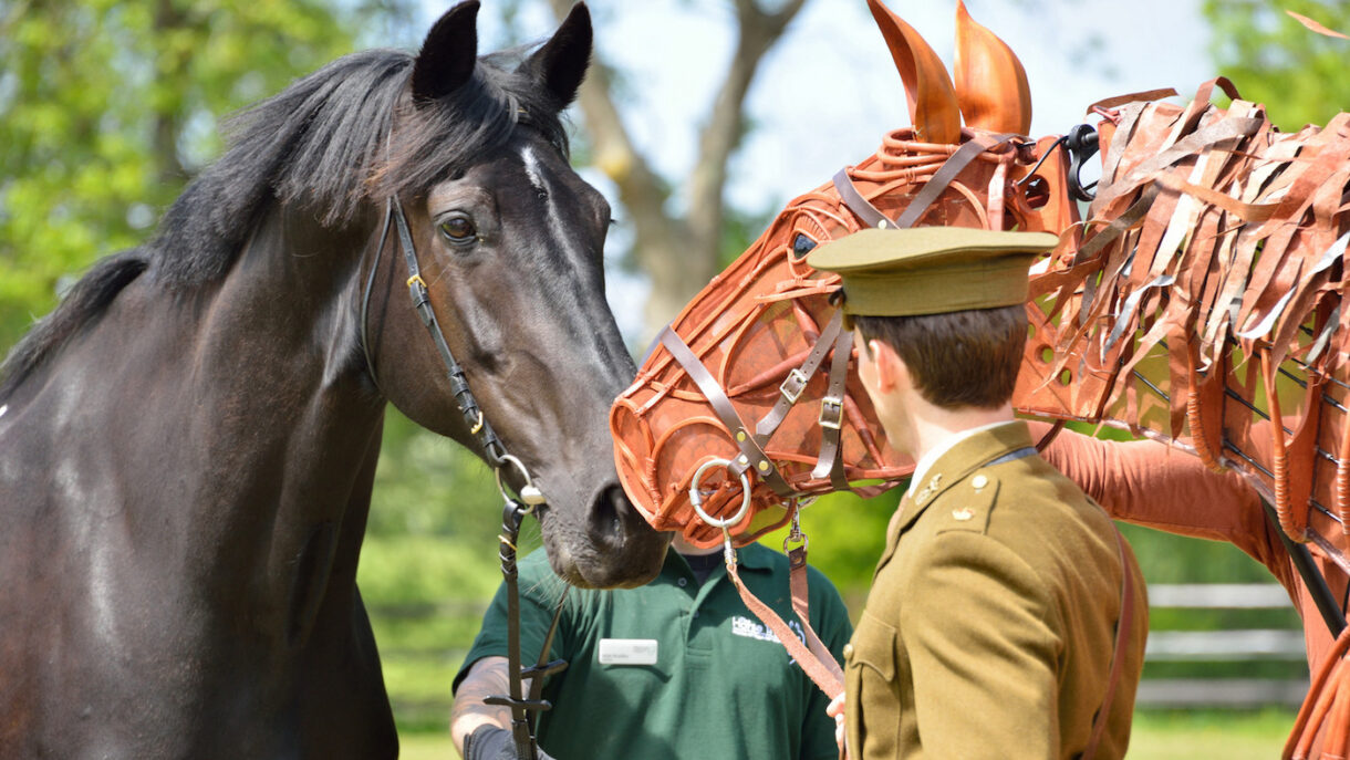 The Queen gives army drum horse his new name - Horse & Hound