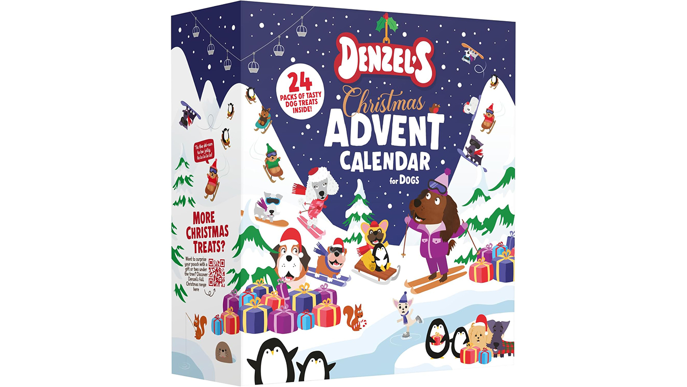 Denzels dog christmas advent calendar